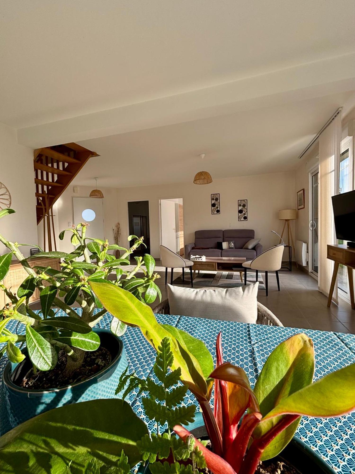 Maison Colette - Proche Plage Saint-Malo Exterior photo